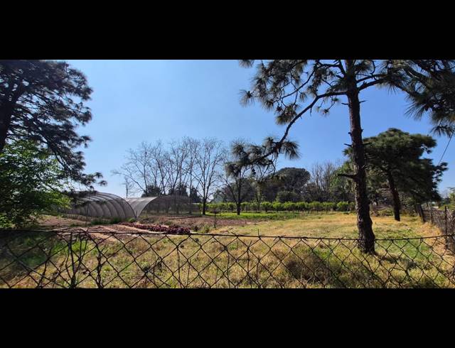 20,234M² SMALLHOLDING FOR SALE IN RYNFIELD AH
